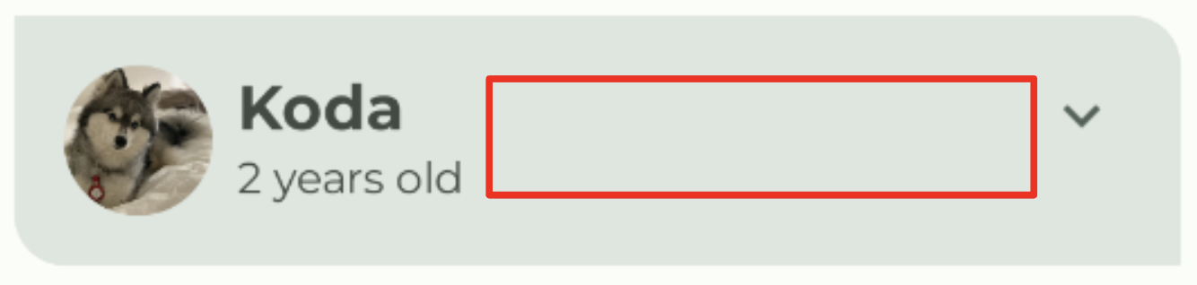 Élément de liste Woof avec espace 733f6d9ef2939ab5.png