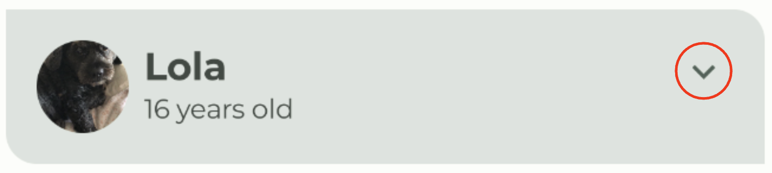 Élément de liste Woof avec bouton def59d71015c0fbe.png